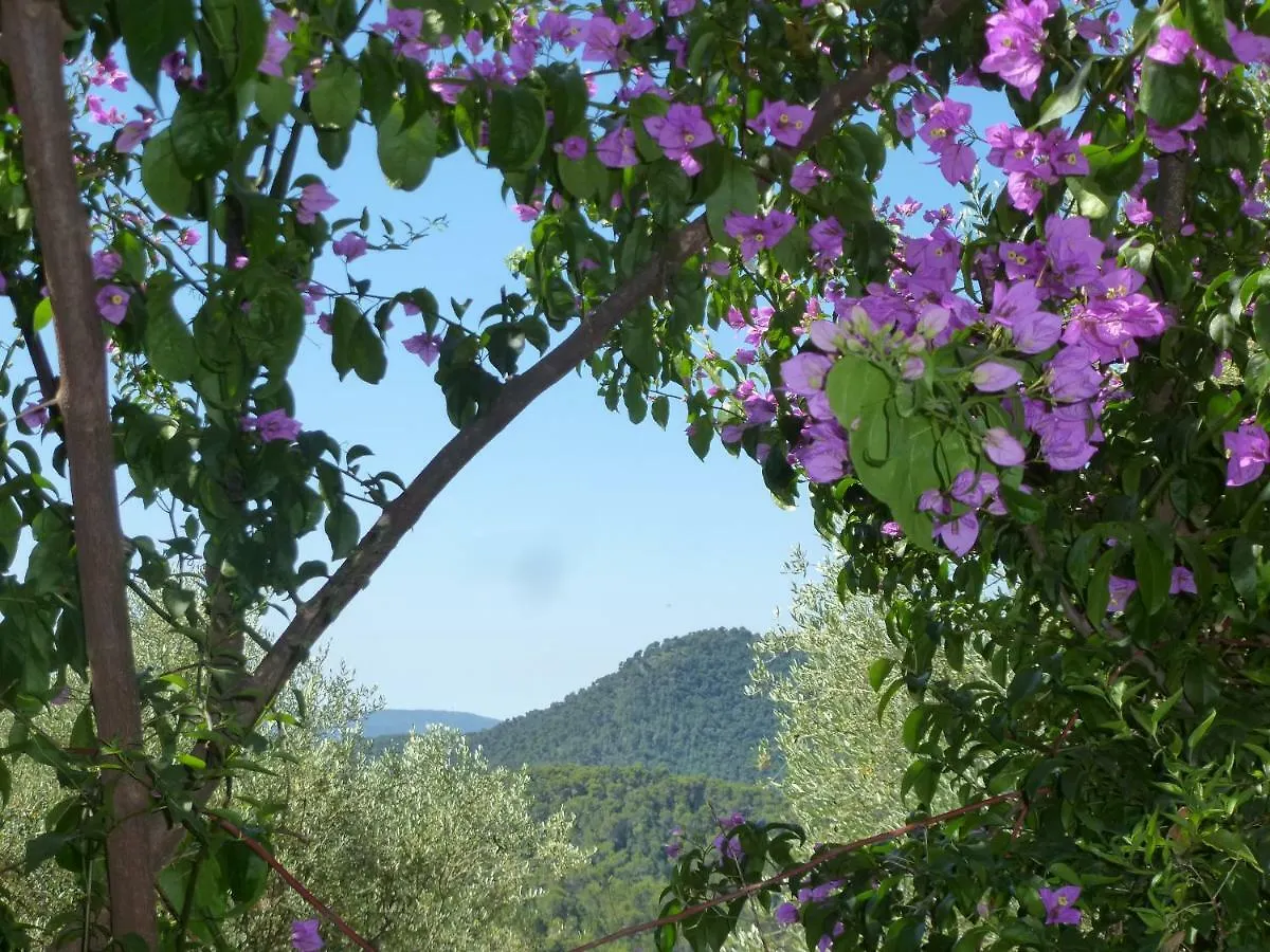 Bed and Breakfast L'Origane L'Escarene